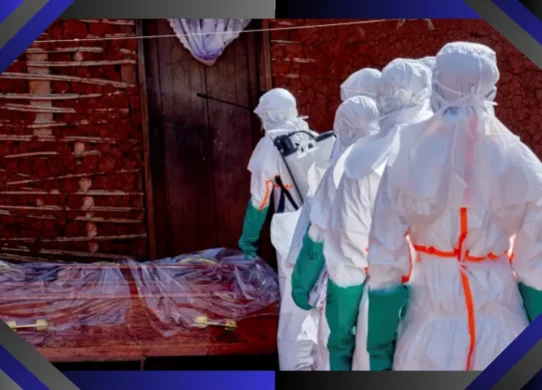 Ebola en France