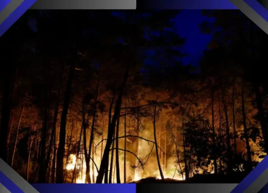 Incendie de la forêtde Fontainebleau
