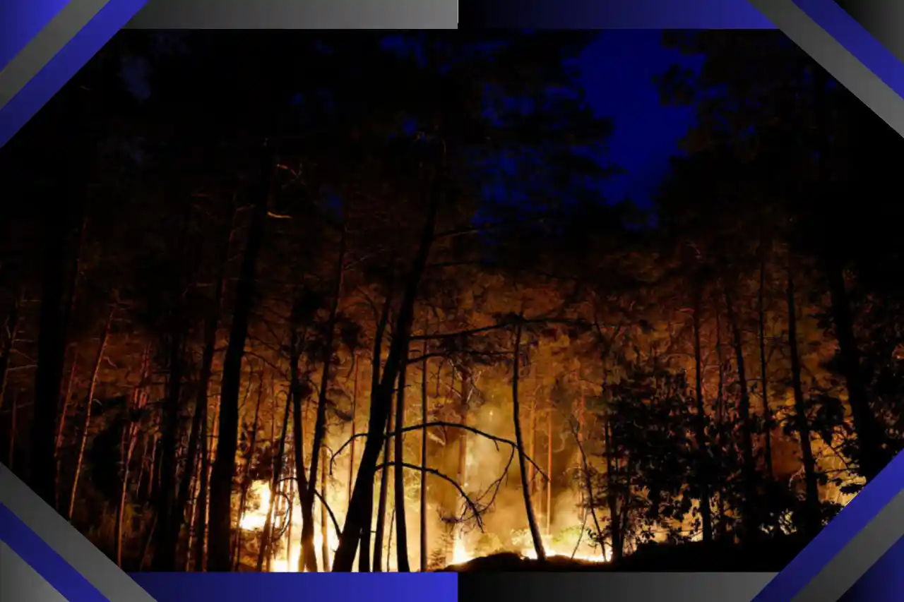 Incendie de la forêtde Fontainebleau
