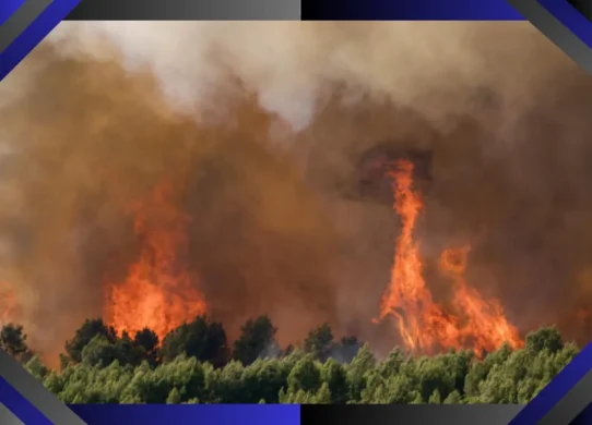 Incendies dans le sud de la France