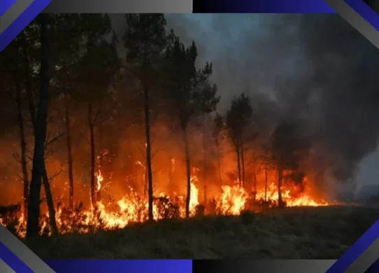 tempête de feu de la Gironde